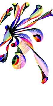 一方面Baihe Flower的畫
