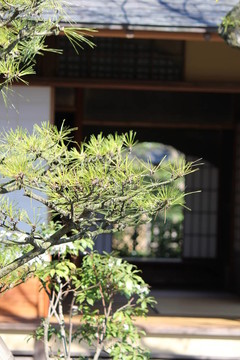 日本的房子