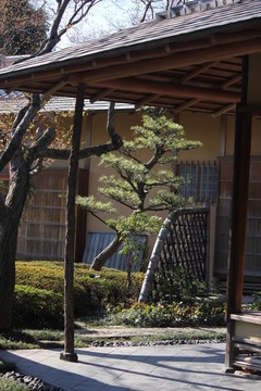 日本式庭園