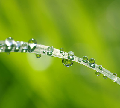 水滴