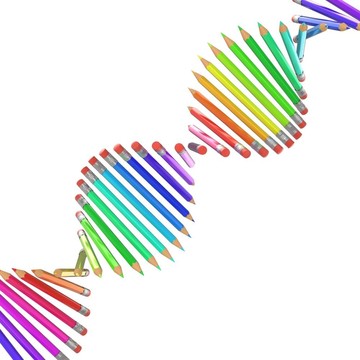 DNA鏈中的彩色鉛筆