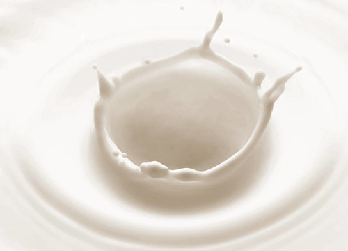 白色背景上的牛奶飛濺