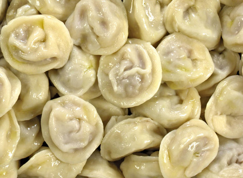 俄羅斯餃子