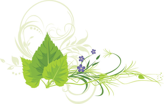 樺樹葉子；有草的花