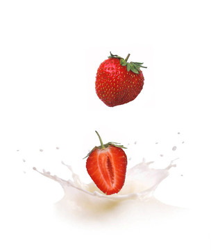 Strawberry落入牛奶引起飛濺和下降