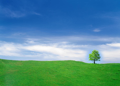 美麗的夏日風景。