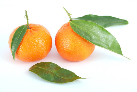 Tangerine夜店