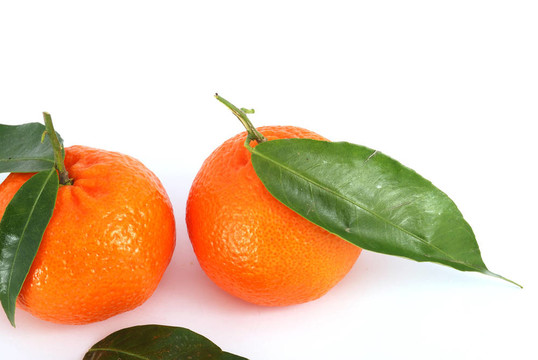 Tangerine夜店