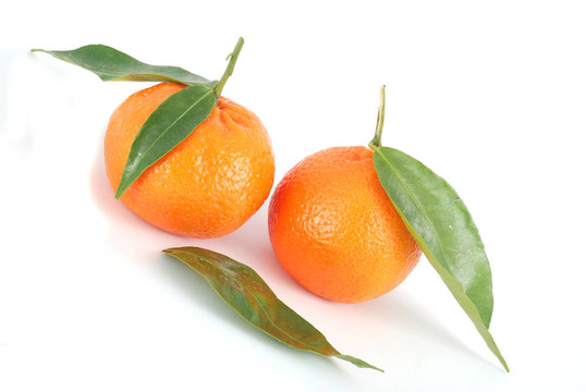 Tangerine夜店
