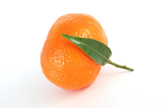 Tangerine夜店