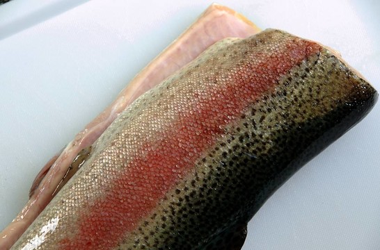 新鮮的鱒魚