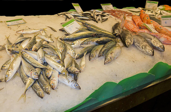 市場上各種鮮魚的種類