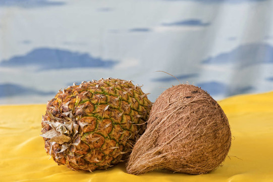 菠蘿椰子