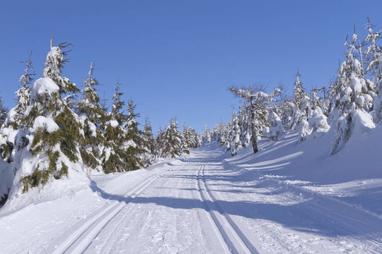 山地滑雪景觀(guān)與越野滑雪方式。