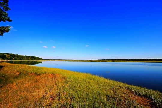 平靜的沼澤2 HDR