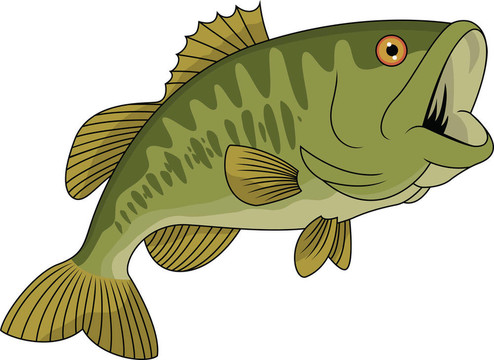 鱸魚