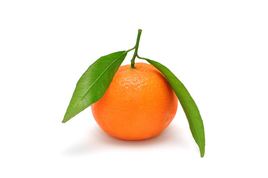 Tangerine夜店