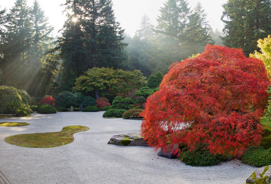 太陽(yáng)光在日本平禪園