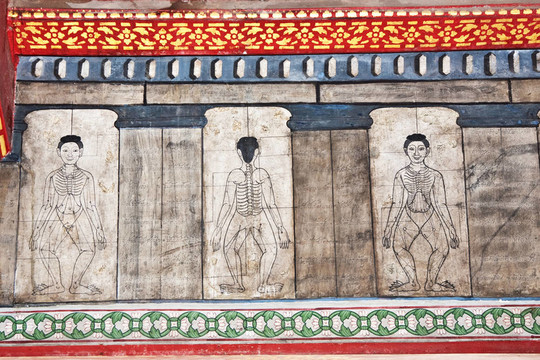 在寺廟Wat Pho教授針灸和遠(yuǎn)東醫(yī)學(xué)繪畫