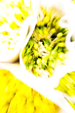 花市場上的美麗花朵