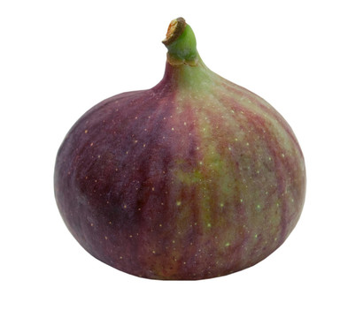 新鮮的無(wú)花果