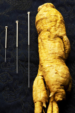 針灸針與Ginseng