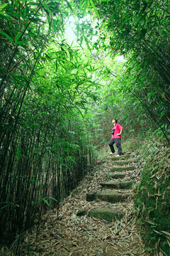 攝影師在竹路上拍照