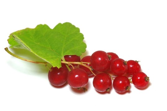 groseilles