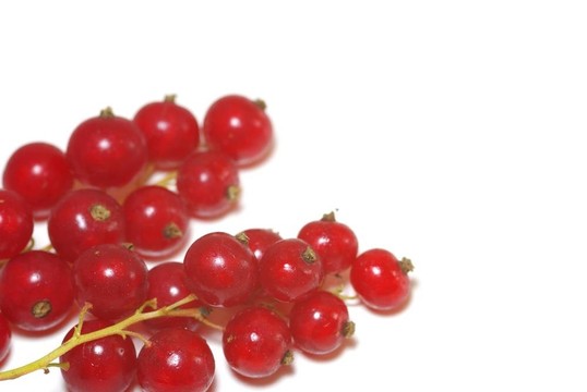 groseilles