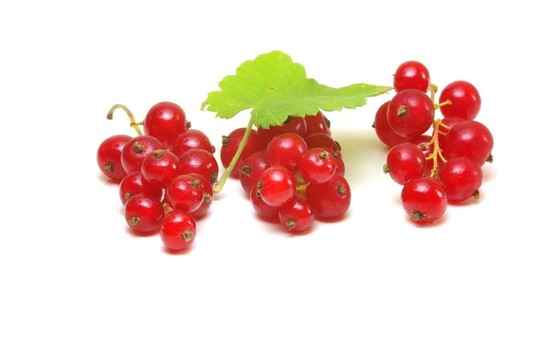 groseilles