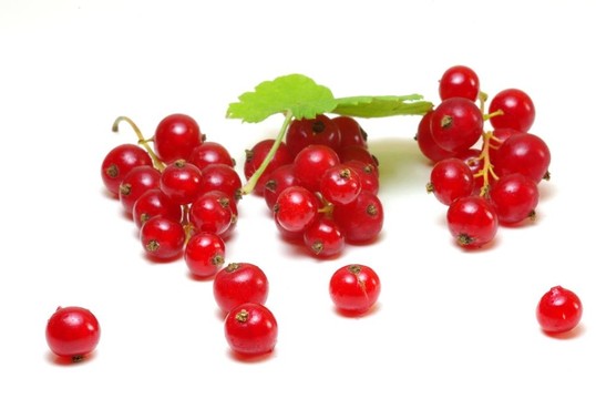 groseilles