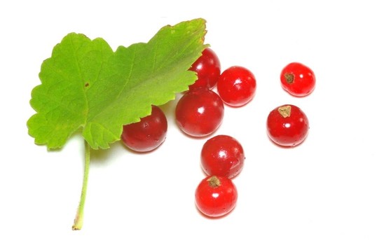 groseilles