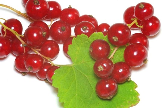 groseilles