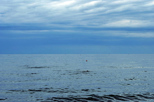 海