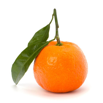 成熟的美味的Tangerine夜店