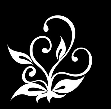 美麗的框架從樹葉