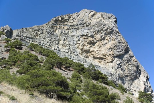 山