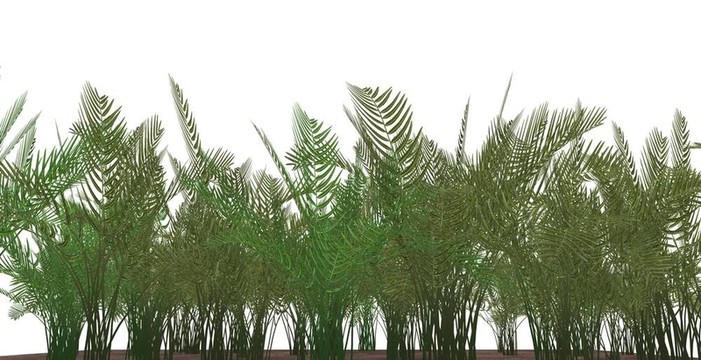 草蕨分離
