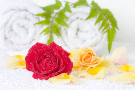 SPA