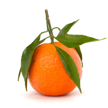 成熟的美味的Tangerine夜店