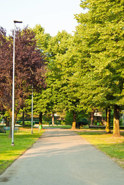 公園2