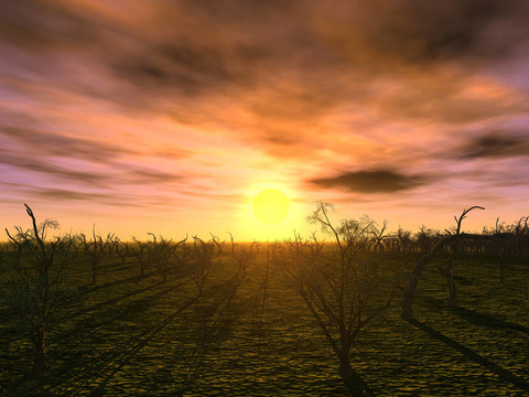 sunset_trees