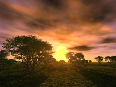 sunset_trees
