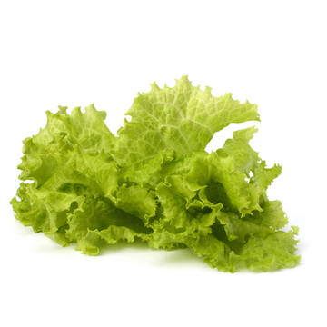 生菜沙拉