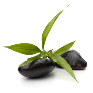 禪意平衡。水療與保健概念。