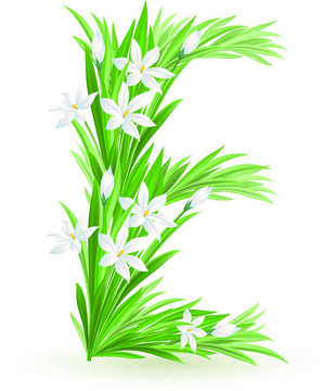一封春天的花