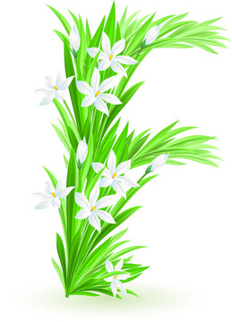 一封春天的花