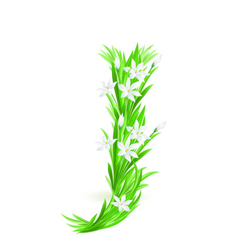 一封春天的花