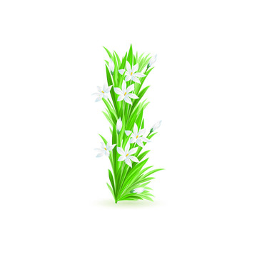 一封春天的花