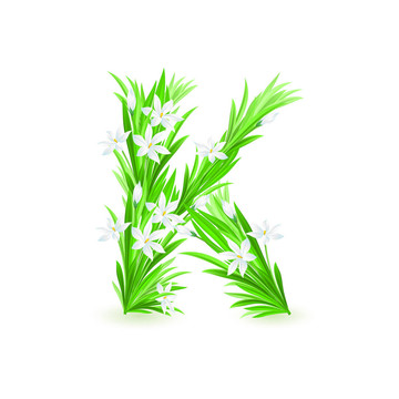 一封春天的花